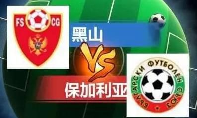 暴操在线观看网站